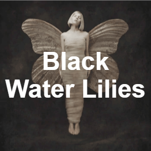 http://images.introcdc.com/Random/Bracket/black water lilies.png